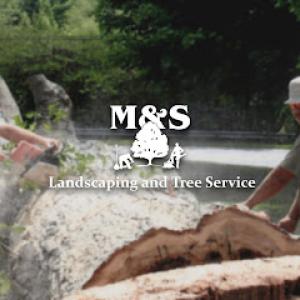 M & S Landscaping & Tree Removal Waynesville