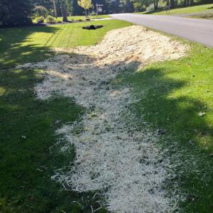 TW Landscaping & Grass Cutting