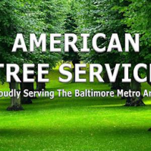 American Tree Service