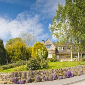 Ceron Landscaping & Tree Service