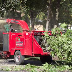 Mid-West Tree Experts
