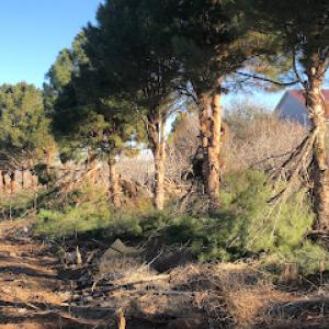 The Garden Mart Landscaping & Tree Service