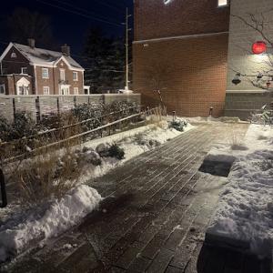 Rooted Lawn & Landscape