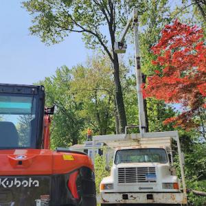 Castro's Tree Services