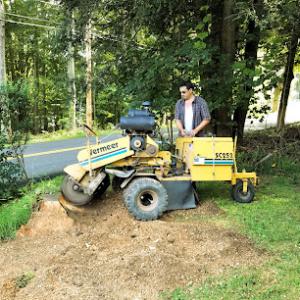 Zion's Stump Grinding Service Tree Stump Removal