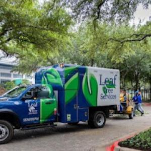 Leaf Tree Services