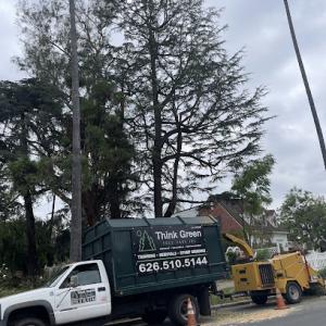 Think Green Tree Care