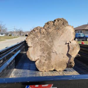 Kingsgard Tree Service