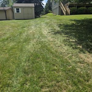 Big Richard Tree Service