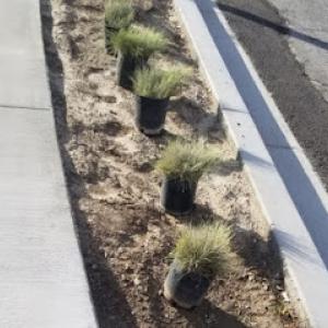 Excellence landscaping & Maintenance