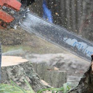 We Care Tree Service