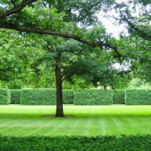 Preferred Expert Landscaping & Tree Service