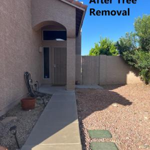 Alia's Tree Services & Landscaping