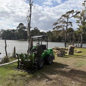 Timber Dogs Tree Services