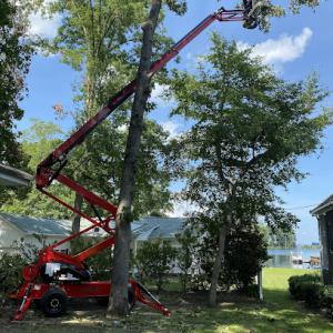 Bear Tree Care LLC - Firemen Owned & Operated