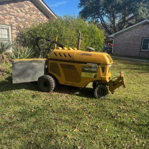 Charleston Stump Removal