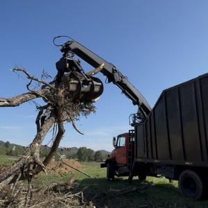 Heavenly Tree Service