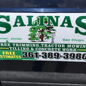 Salinas Tree Trimming
