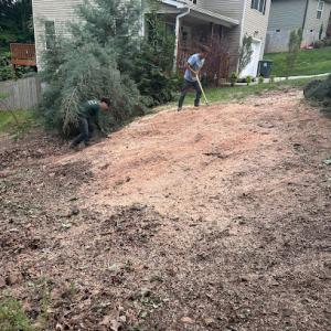 Audil Tree Service