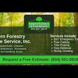 Eastern Forestry & Tree Service