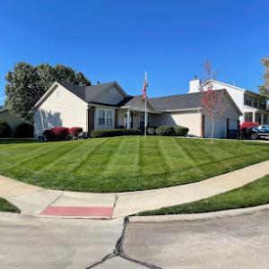 Green Head Grass Company