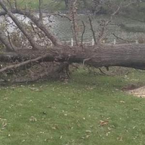 Two men & a saw, serving Indiana Lake, Porter county
