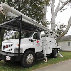 Lashco Tree Service