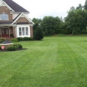 Solmi Bros. Lawn Care & Tree Service