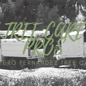 Sotero Fernandez Tree Care