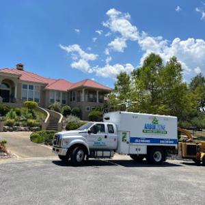 Arborzone Tree Service