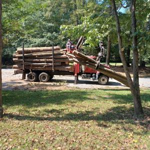 Cifuentes Tree Service