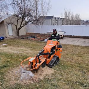 A-1 Contractor Services