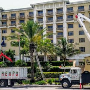 El Cheapo Tree Service