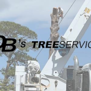 DB's Tree Service