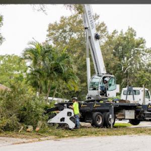 Element Tree Care