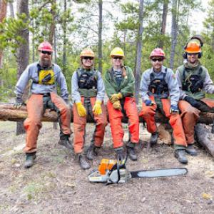 Tree Solutions Of Clermont Florida