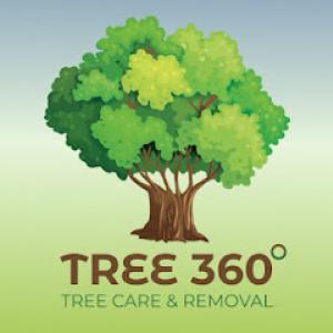 Tree 360