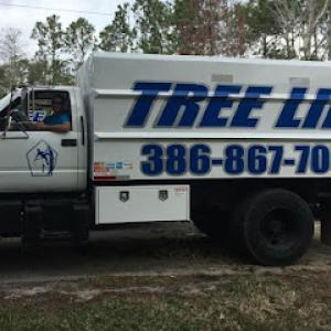 Tree Life Florida