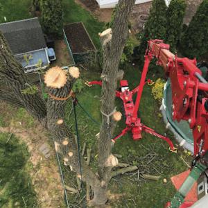 Nelson's Tree Service