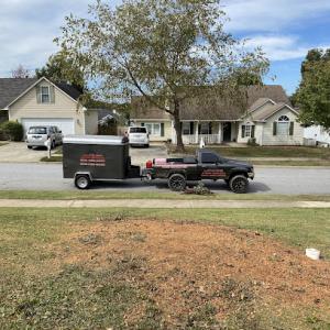 Cutting Edge Stump Grinding