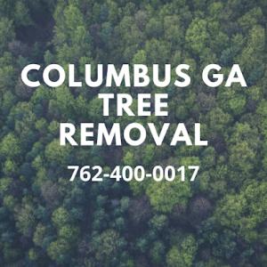Columbus Georgia Tree Removal
