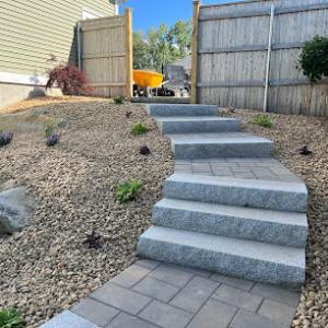 Deep Woods Tree & Landscape