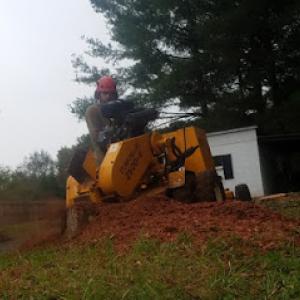 Catawba Stump Grinding