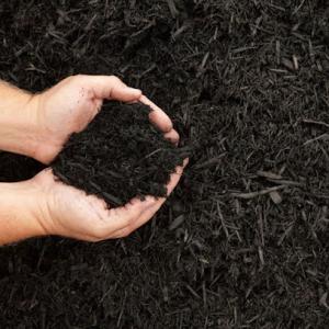 Detroit Mulch