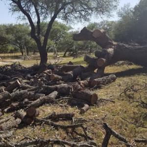 Ground Control Tree Service