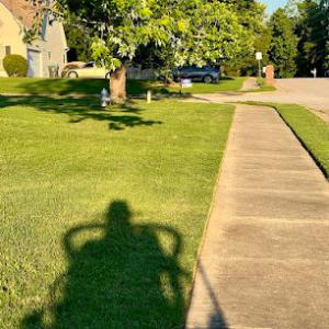 Yard-Trim Lawn & Tree Services