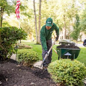 The Davey Tree Expert Company