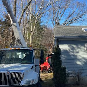 Osborn Tree Service