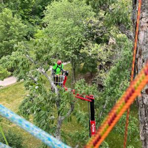 Go-Getter Tree Service