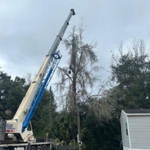 Hometown Tree Service